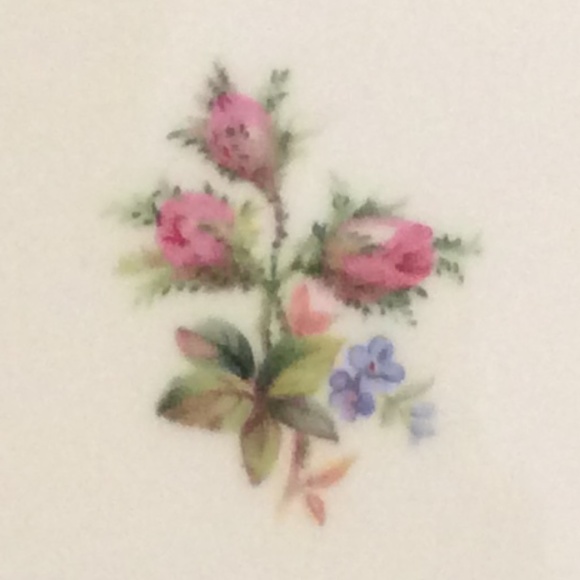 Moss Rose dinner plate Royal Albert Beautiful Condition - Picture 6 of 7